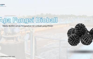 Apa Fungsi Bioball